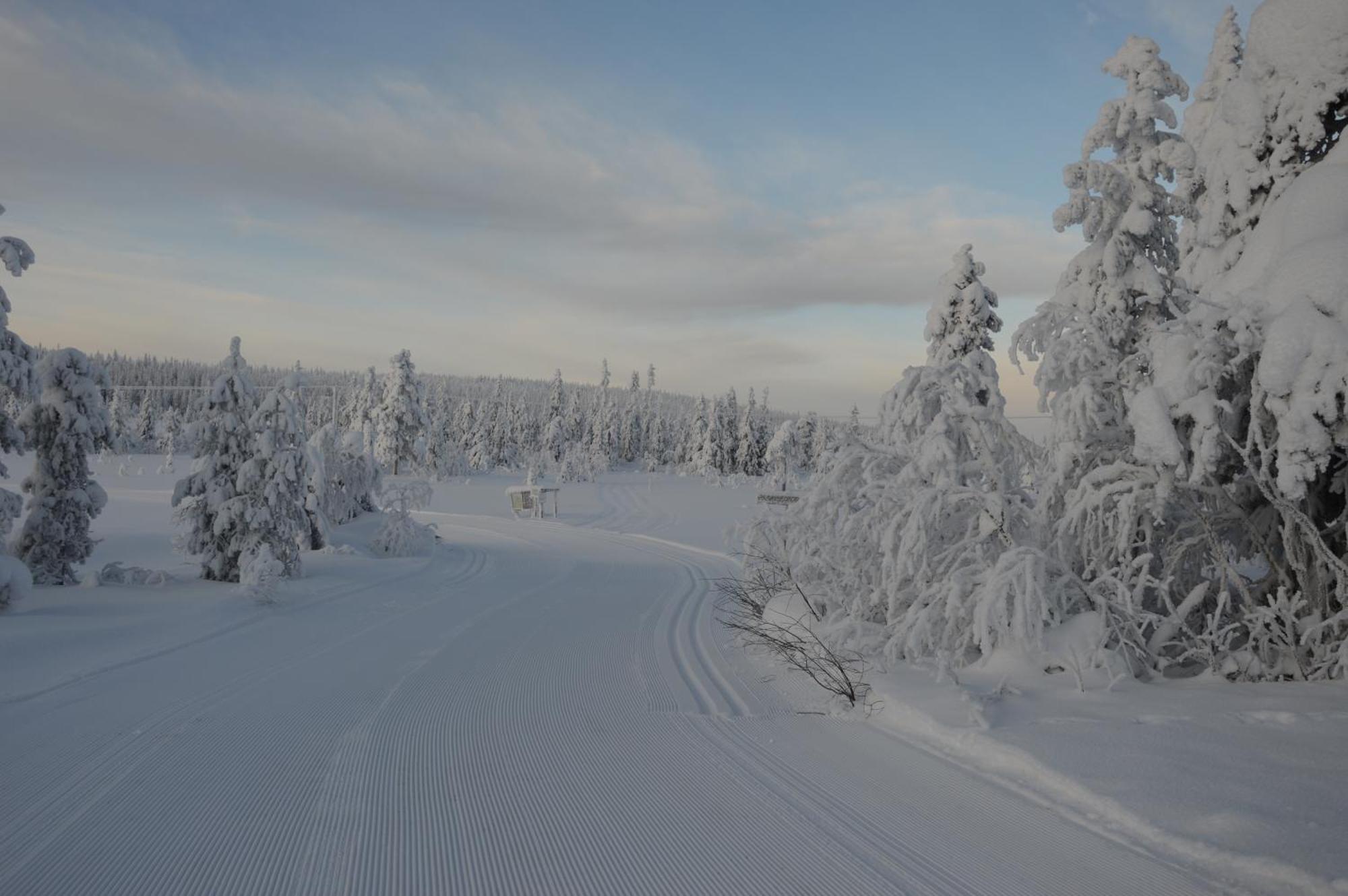 14 - Fulufjellets Nasjonalparker - Natur-, Dyre- Og Fugleopplevelser Trysil Exteriér fotografie