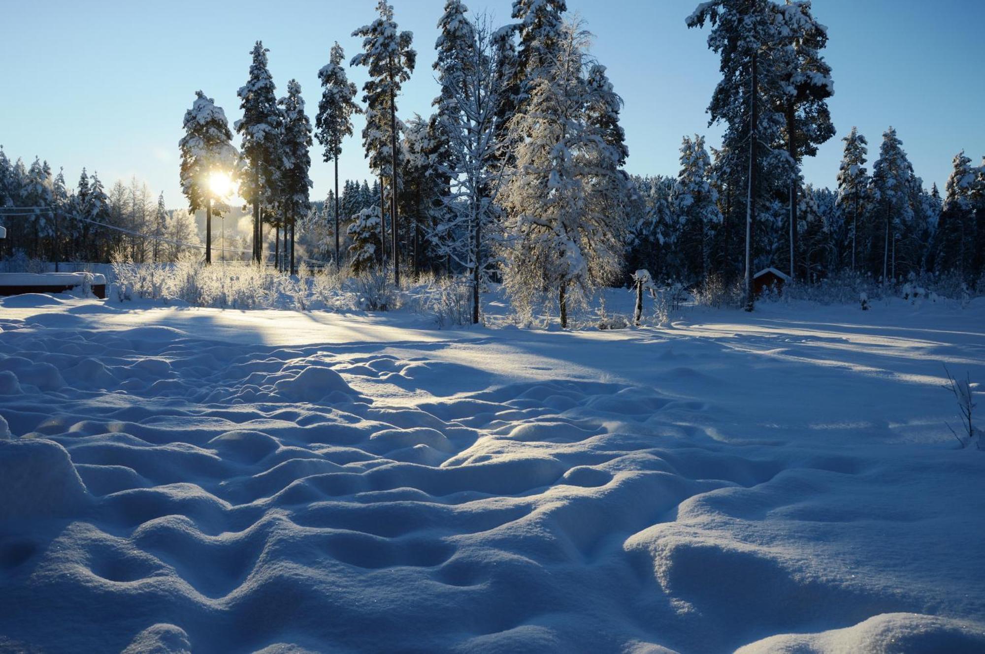 14 - Fulufjellets Nasjonalparker - Natur-, Dyre- Og Fugleopplevelser Trysil Exteriér fotografie