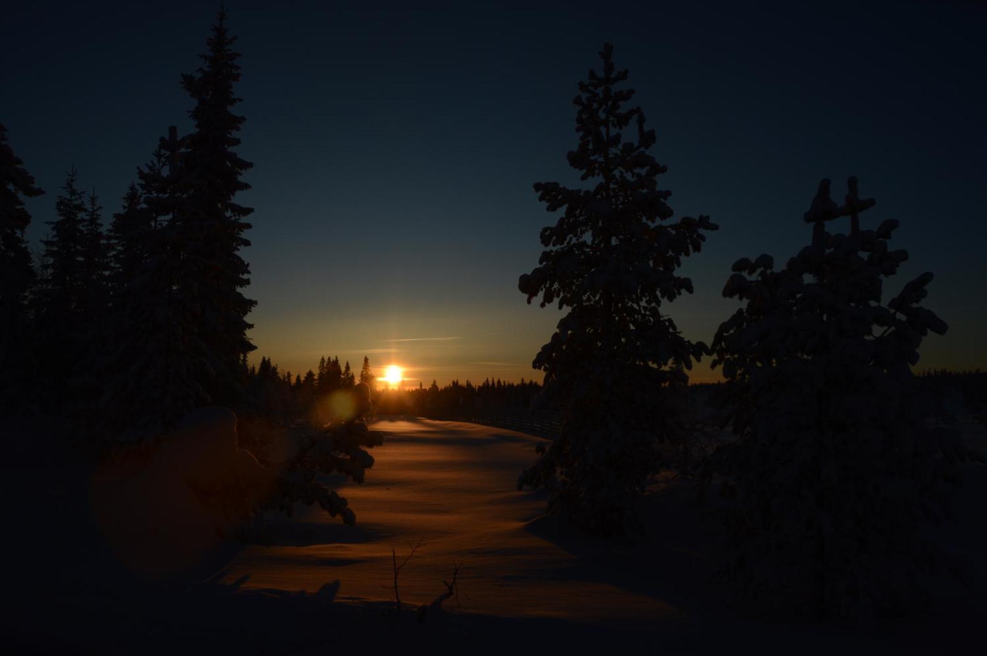 14 - Fulufjellets Nasjonalparker - Natur-, Dyre- Og Fugleopplevelser Trysil Exteriér fotografie