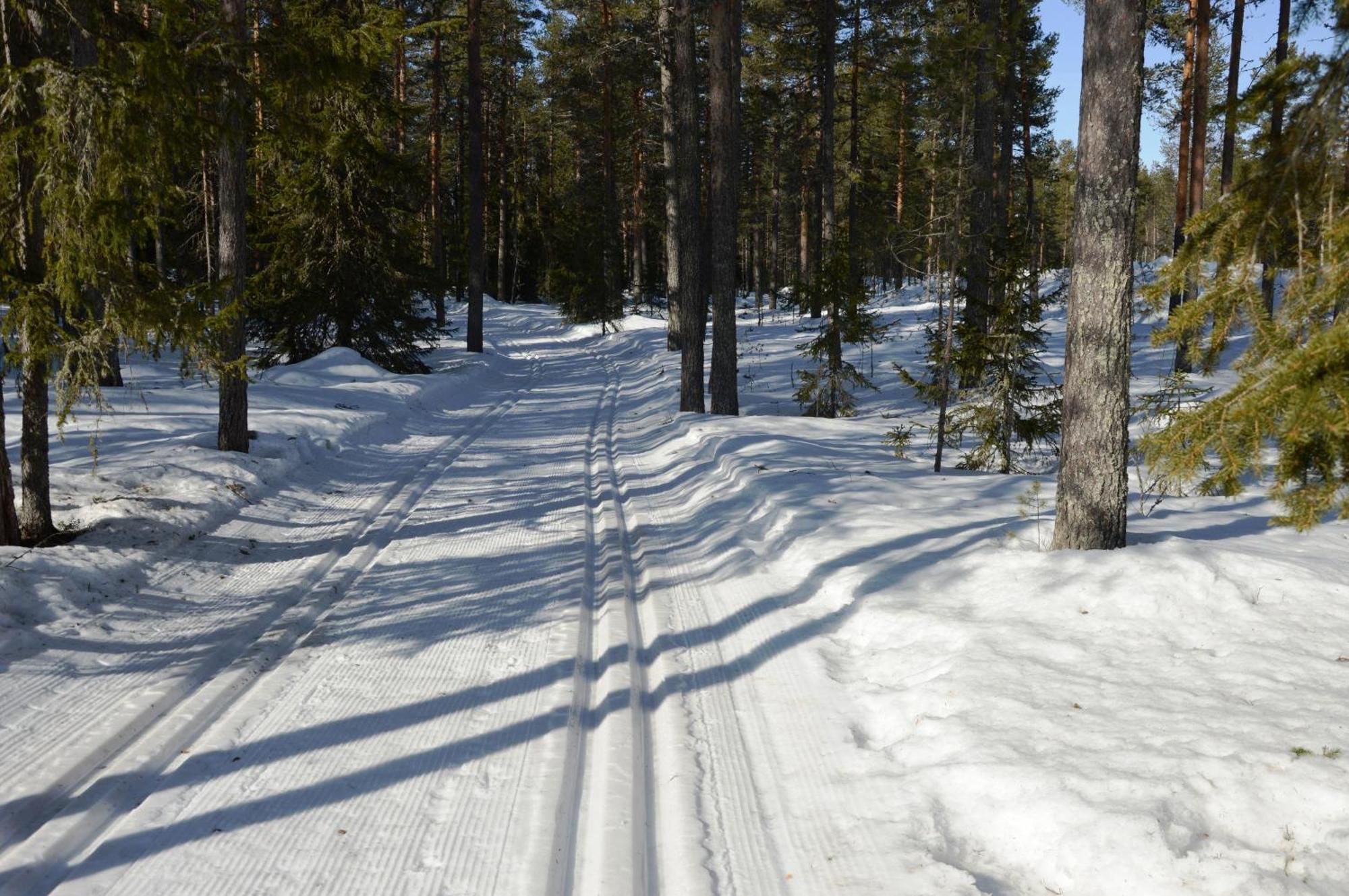 14 - Fulufjellets Nasjonalparker - Natur-, Dyre- Og Fugleopplevelser Trysil Exteriér fotografie