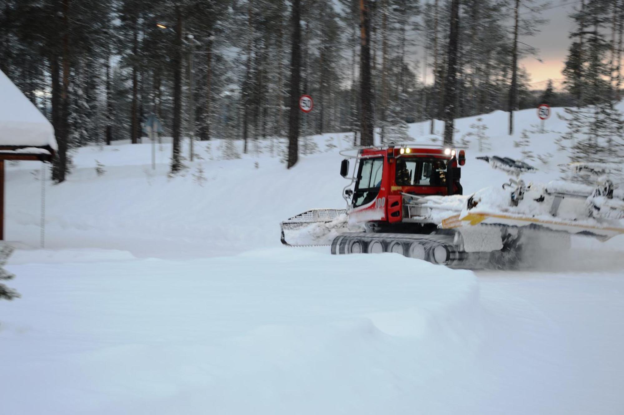14 - Fulufjellets Nasjonalparker - Natur-, Dyre- Og Fugleopplevelser Trysil Exteriér fotografie