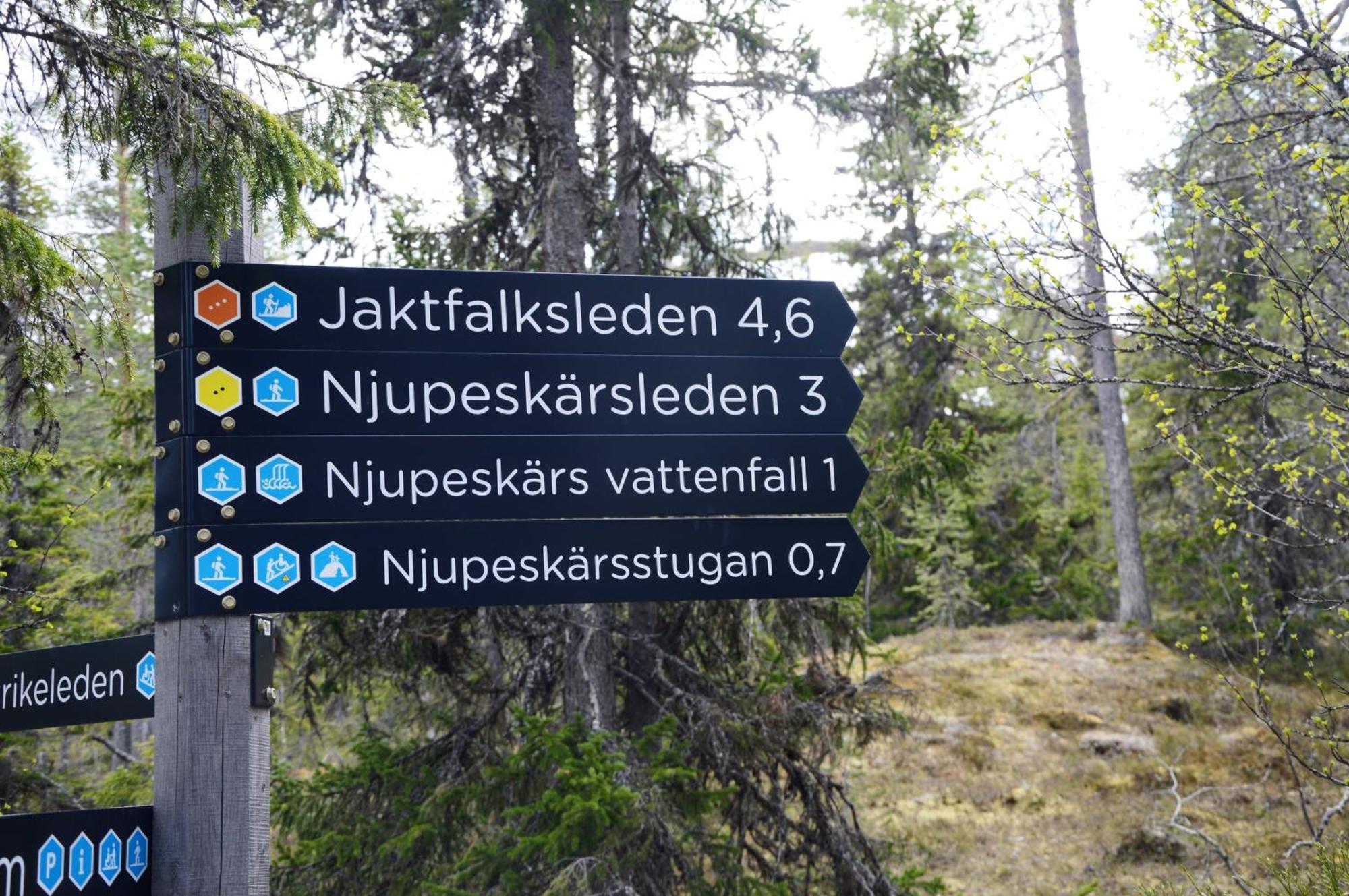 14 - Fulufjellets Nasjonalparker - Natur-, Dyre- Og Fugleopplevelser Trysil Exteriér fotografie
