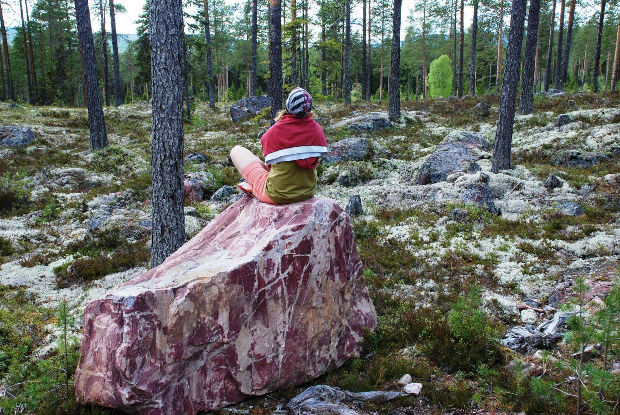14 - Fulufjellets Nasjonalparker - Natur-, Dyre- Og Fugleopplevelser Trysil Exteriér fotografie