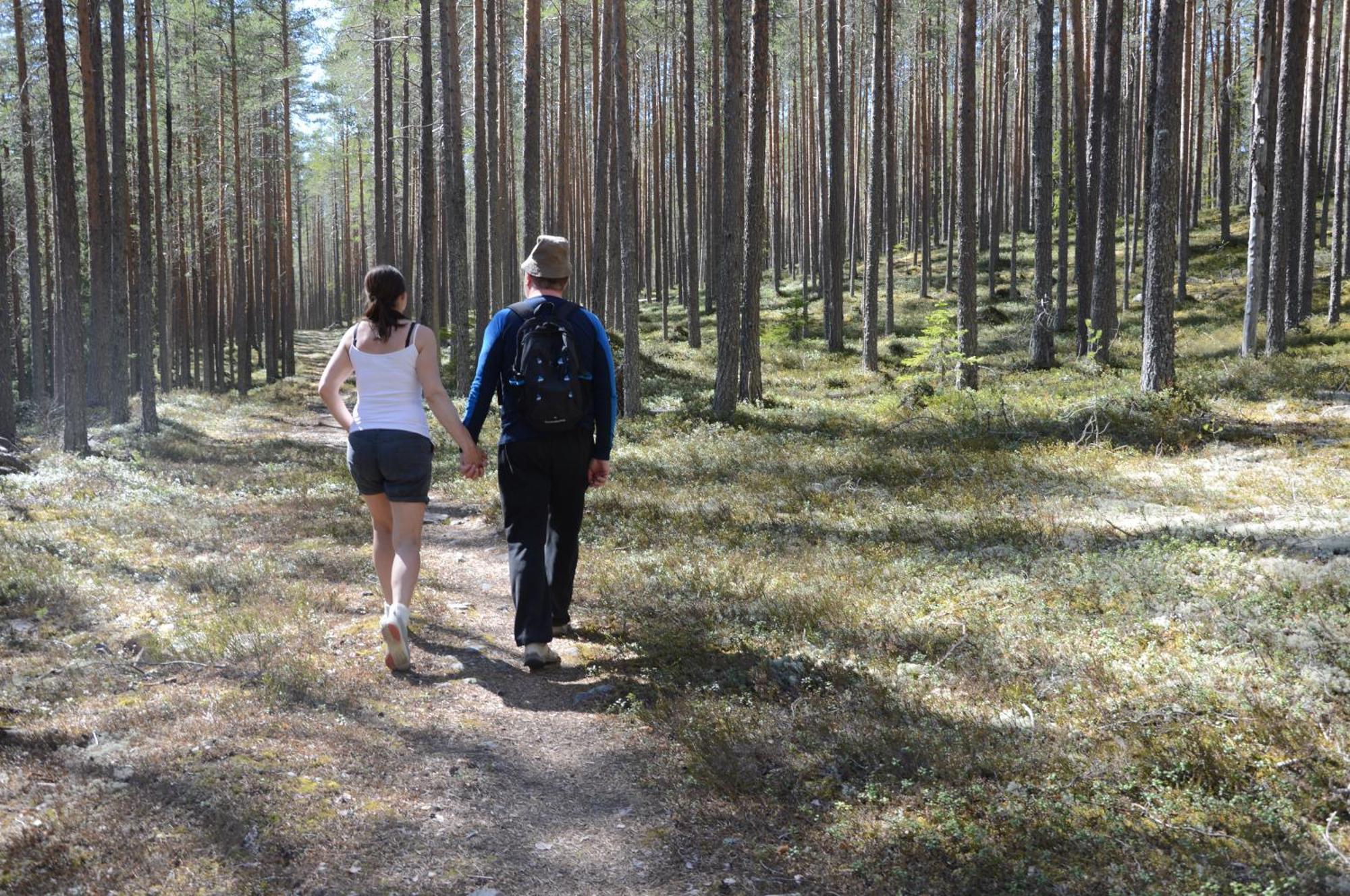 14 - Fulufjellets Nasjonalparker - Natur-, Dyre- Og Fugleopplevelser Trysil Exteriér fotografie