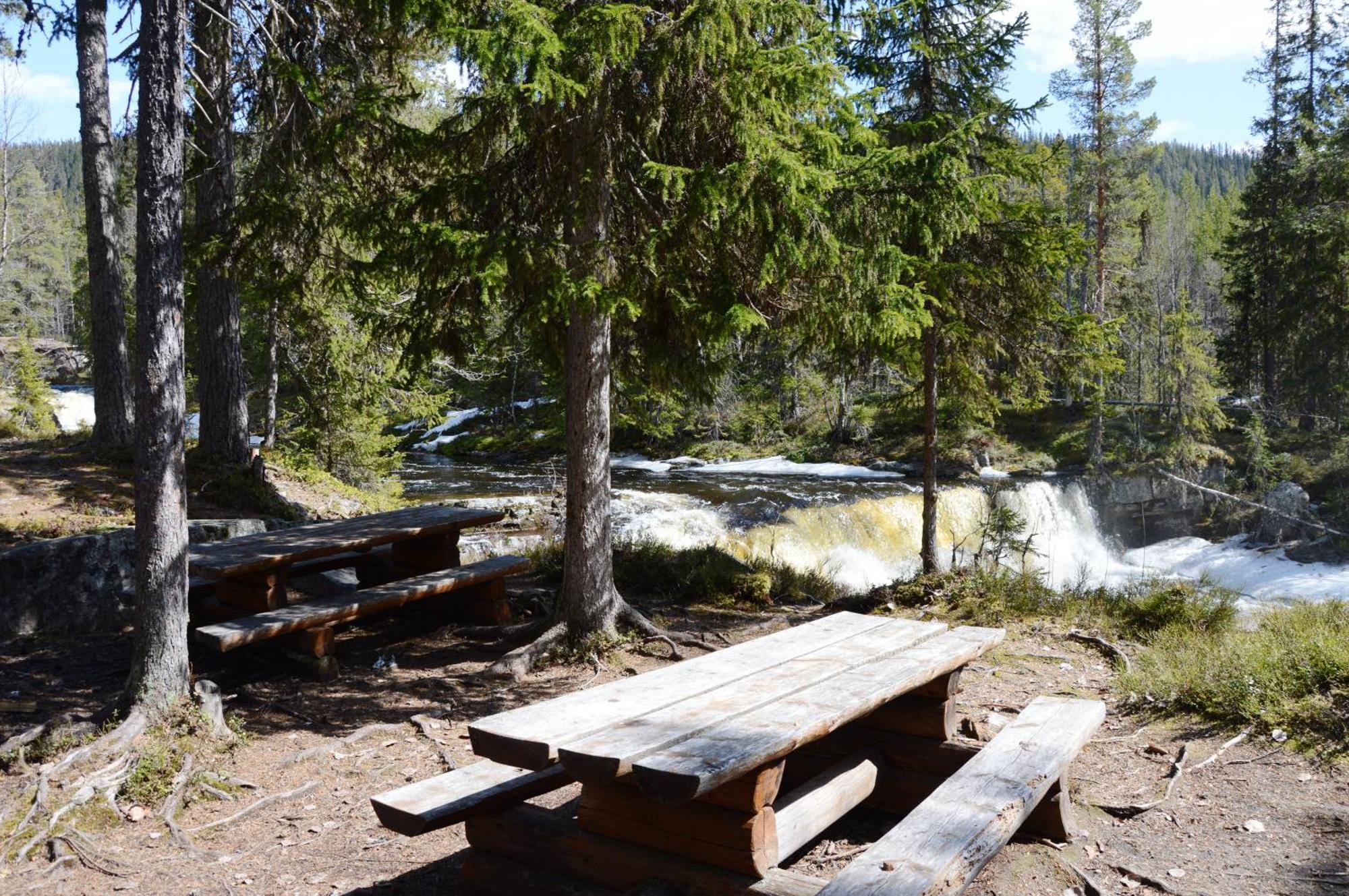 14 - Fulufjellets Nasjonalparker - Natur-, Dyre- Og Fugleopplevelser Trysil Exteriér fotografie
