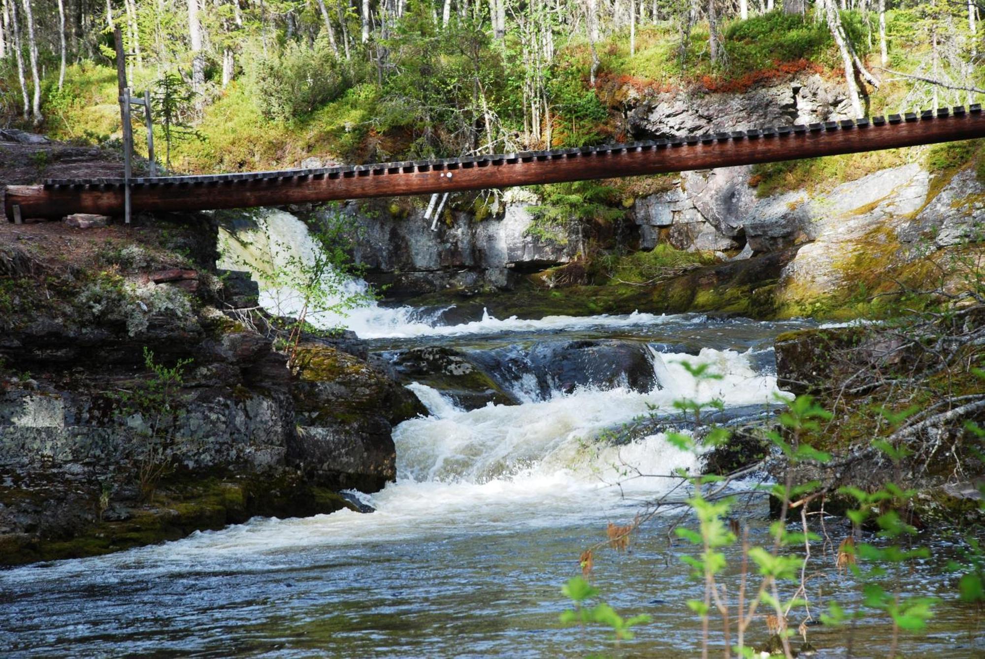 14 - Fulufjellets Nasjonalparker - Natur-, Dyre- Og Fugleopplevelser Trysil Exteriér fotografie