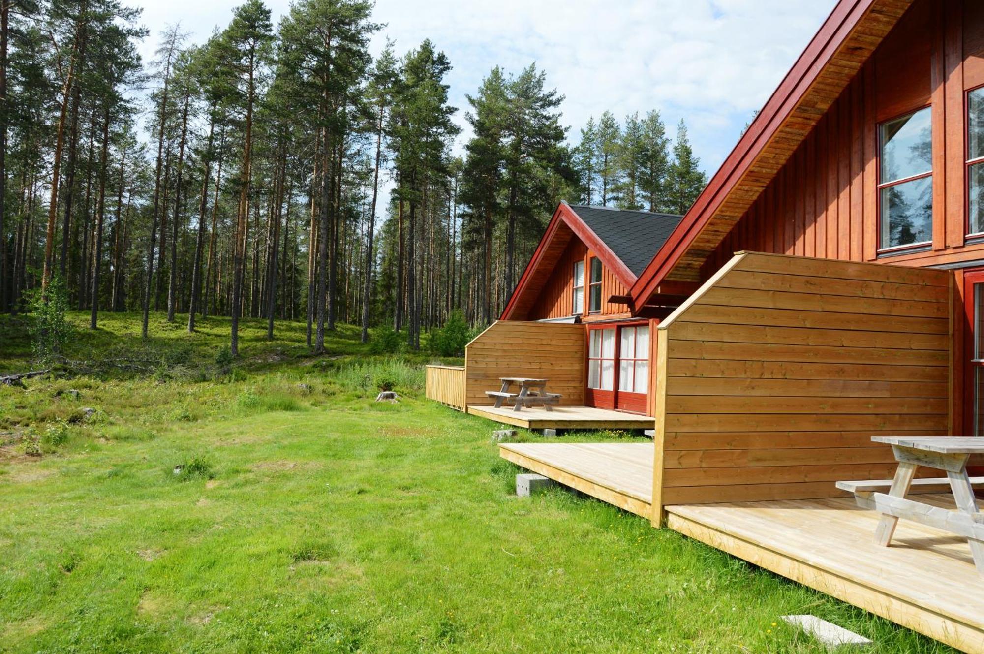 14 - Fulufjellets Nasjonalparker - Natur-, Dyre- Og Fugleopplevelser Trysil Exteriér fotografie